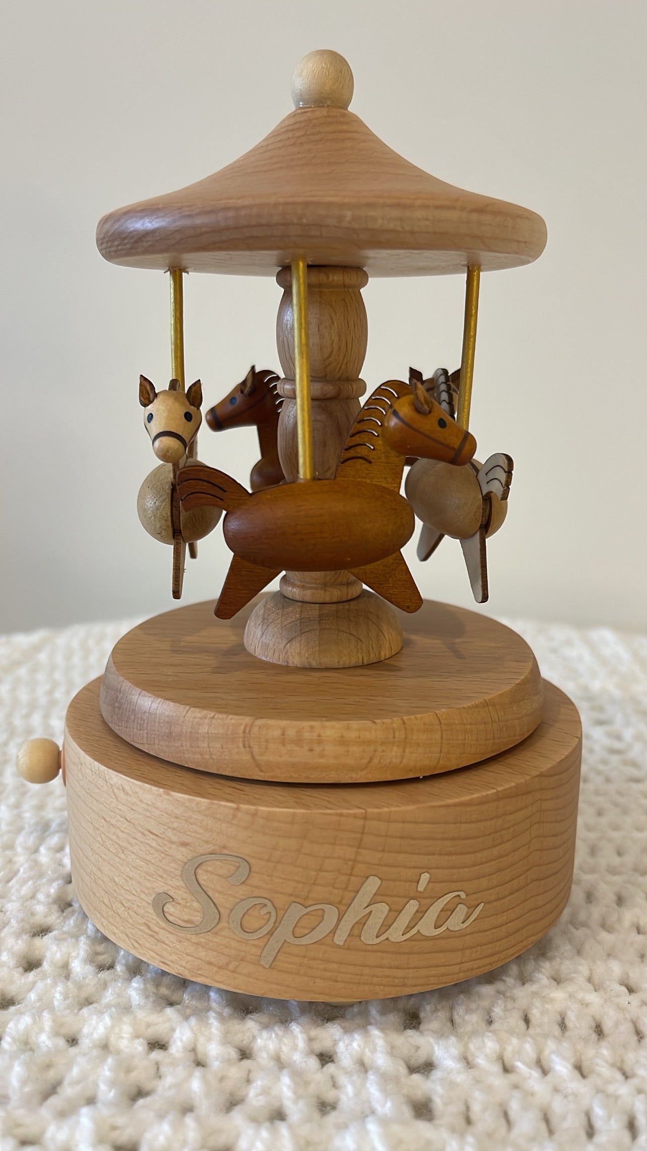 Horse Musical Carousel